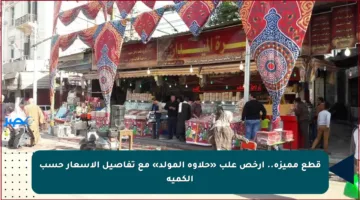 قطع مميزة.. أرخص علب «حلاوة المولد» مع تفاصيل الأسعار حسب الكمية